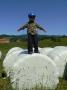 gal/2010/09 Dolni Morava/_thb_P1070466.JPG